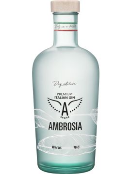 Джин Дэй Эдишн Амброзия 40% 0,7л